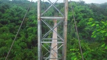 schöne luftaufnahme, hängebrücke im tropischen wald. video