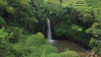 Beautiful aerial view, Waterfall in tropical forest. video