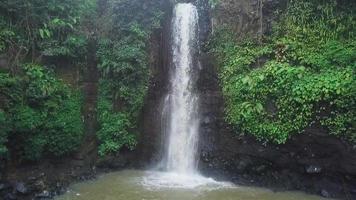 hermosa vista aérea, cascada en bosque tropical. video