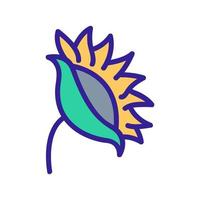 sunflower turned to sun icon vector outline illustration