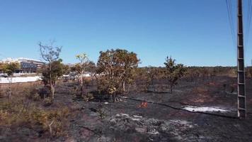 les restes calcinés d'un feu de brousse peut-être un incendie criminel près de la réserve indienne karriri-xoco et tuxa dans la partie nord-ouest de brasilia, brésil video