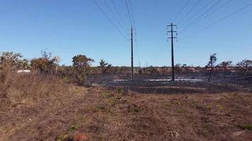 de förkolnade resterna av en penselbrand möjligen anlagd nära karriri-xoco och tuxa indianreservat i nordvästra delen av Brasilien, Brasilien video