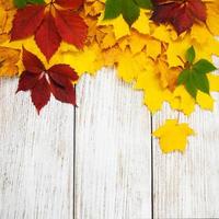 Autumn leaves on wooden table photo