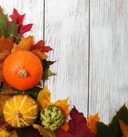 Pumpkin and leaves photo