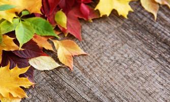 Autumn leaves on wooden background photo