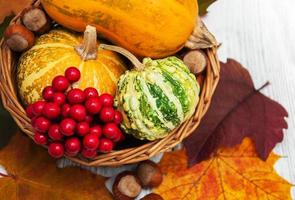 Pumpkin and leaves photo