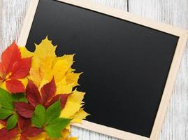 Autumn leaves on blackboard photo