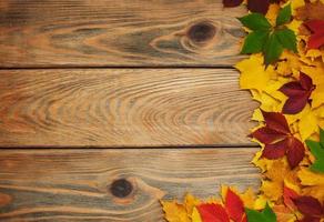 Autumn leaves on wooden table photo