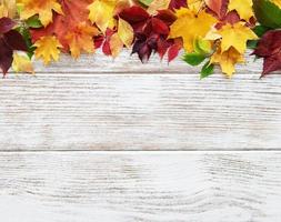 Autumn leaves on wooden background photo