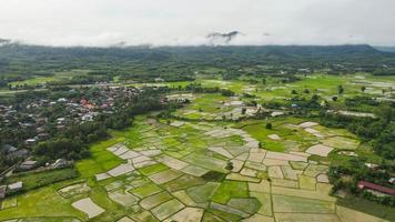 Aerial view green rice fields nature agricultural farm background rural, top view rice field from above with pathway agricultural parcels of different crops in green view mountain at countryside photo