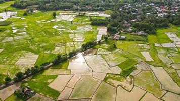 Aerial view green rice fields nature agricultural farm background rural, top view rice field from above with pathway agricultural parcels of different crops in green view mountain at countryside photo