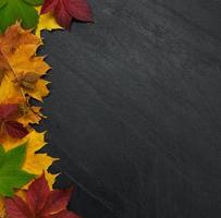 Autumn leaves on blackboard photo