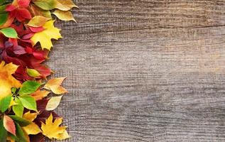 Autumn leaves on wooden background photo
