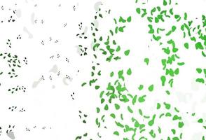 Light Green vector backdrop with abstract shapes.