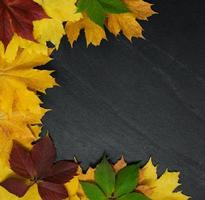 Autumn leaves on blackboard photo