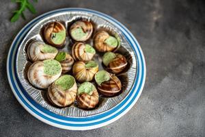 snails food green meal food snack diet on the table copy space food background photo