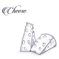 Sketch cheese to wine vector