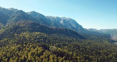 ancien château roumain au coeur d'une superbe forêt verte d'automne, pelisor video