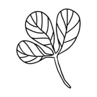 hoja en la ilustración de vector de estilo de fideos. elemento vegetal natural aislado sobre fondo blanco.