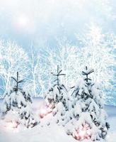 Winter landscape. winter snow. Christmas card. photo