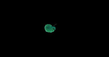 leaf float animation video