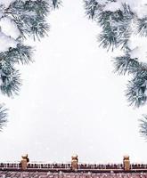 forest in the frost. Winter background. Snow covered trees. photo