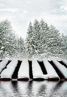 forest in the frost. Winter landscape. Snow covered trees. photo