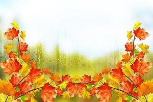 Autumn landscape. Beautiful autumn leaves. Golden autumn. photo