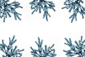 The branches of the snow covered tree Christmas tree photo