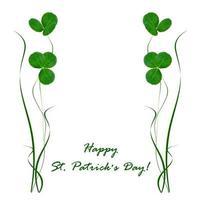 green clover leaves isolated on white background. St.Patrick 's Day photo