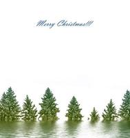 Christmas card with fir branches. photo