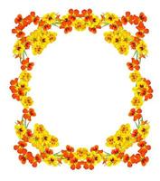 round frame with nasturtium flowers photo