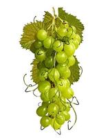 Grapes isolated on white background photo