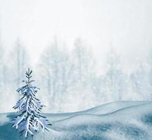 Frozen winter forest with snow covered trees. photo