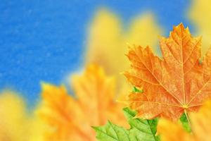 Blue sky. autumn landscape with bright colorful foliage. Indian summer. photo