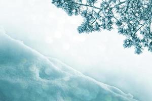 Frozen winter forest with snow covered trees. photo