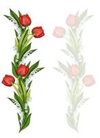 spring flowers tulips isolated on white background photo