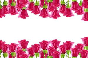 los capullos de flores rosas. tarjeta de vacaciones foto