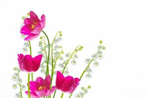 tulipanes de flores de colores de primavera. colección de flores. foto