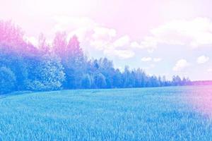 paisaje con árboles de color verde brillante y cielo azul. foto