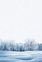 forest in the frost. Winter landscape. Snow covered trees. photo