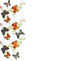 branch of flowers and butterflies isolated on a white background photo