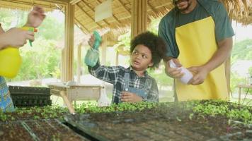 felice famiglia di agricoltori afroamericani con ragazzo divertente spruzzare acqua piantina in vivaio con giardinaggio nebbioso, ortaggi biologici coltivati, natura verde agricoltura nella campagna ecologica. video