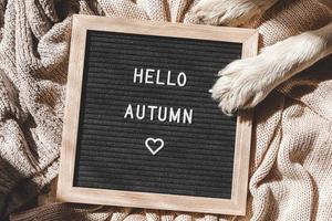 Autumnal Background. Black letter board with text phrase Hello Autumn lying on white knitted sweater. Top view, flat lay. Thanksgiving banner. Hygge mood cold weather concept photo