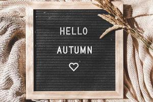 Autumnal Background. Black letter board with text phrase Hello Autumn and dried grass lying on white knitted sweater. Top view, flat lay. Thanksgiving banner. Hygge mood cold weather concept photo