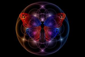 mariposa mística y semilla de la vida, geometría sagrada, flor de la vida, símbolo de logotipo claro de armonía y equilibrio, adorno geométrico brillante, vector de loto colorido aislado en fondo negro