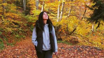 vista frontal de una toma cinematográfica de una joven mujer alegre caminando en el bosque de otoño mirando alrededor y disfrutando del aire fresco. día de otoño en el parque video