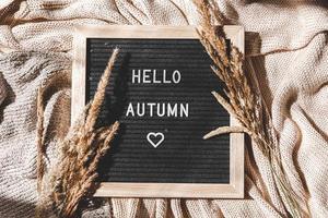 Autumnal Background. Black letter board with text phrase Hello Autumn and dried grass lying on white knitted sweater. Top view, flat lay. Thanksgiving banner. Hygge mood cold weather concept photo