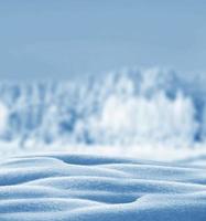 bosque de invierno paisaje de invierno árboles cubiertos de nieve foto