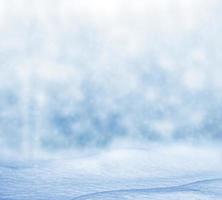 Frozen winter forest with snow covered trees. photo